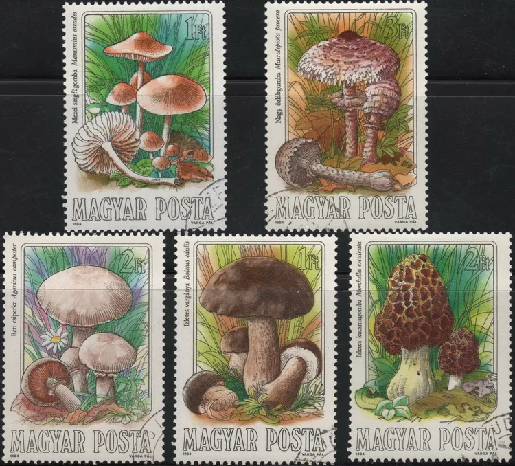 5Pcs/Set Hungary Post Stamps 1984 Mushroom  Marked Postage Stamps for Collecting