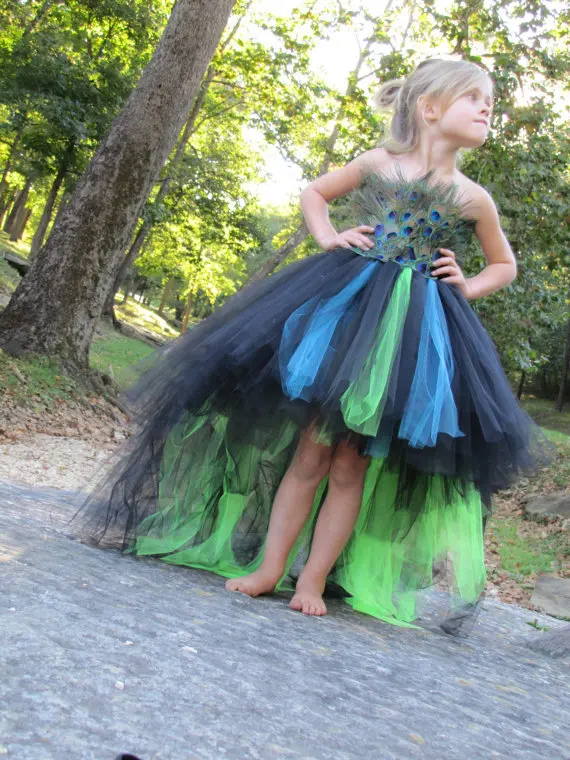 Girls Peacock Feather Trailing Tutu Dress Kids Crochet Flower Tulle Dress Ball Gown Children Evening Party Banquet Costume Dress