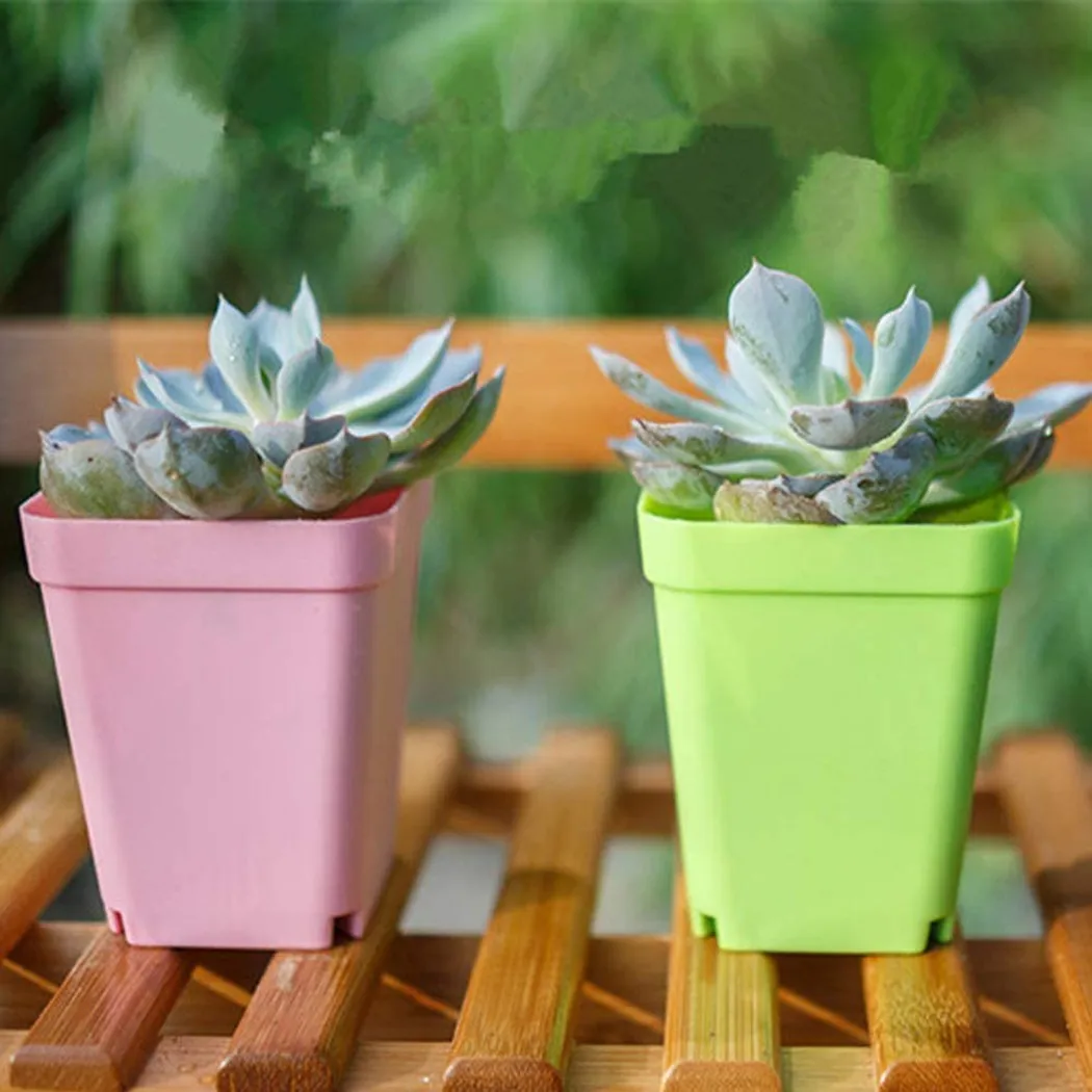 20pcs Mini Basin Square Flower Pot Succulent Plant Trays Color Mixing Home Office Decor DIY Garden Supplies