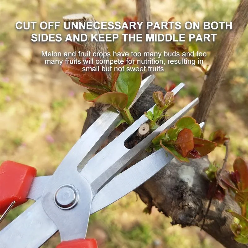 Double-Edged Fruit Picking Scissors, Garden Pruner, Shears Citrus Tree, Flower Cultivating, Solid Multi-use Pruning