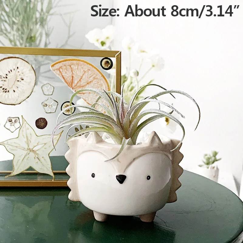 

Succulent Ceramic Flowerpot Creative Mini Garden Bedroom Desktop Animal Shaped Succulent Flowerpot Office Decoration