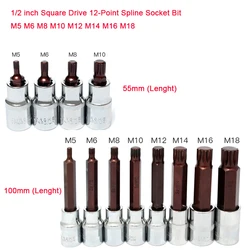 1Pcs 1/2 inch Square Drive 12-Point Spline Socket Bit M5 M6 M8 M10 M12 M14 M16 M18 Torx Screwdriver Bit Auto Repair Hand Tools