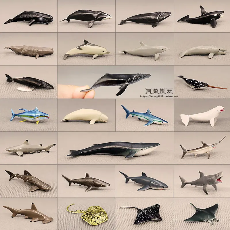 Sea World Mini Fishes Model Great White Shark Blue Whale Beluga Sperm Whale Dolphin Manta Rays Oceans Animal Miniature Kids Toys