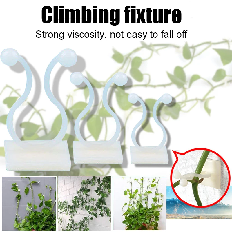 10/20/50pcs Self-Adhesive Plant Climbing Clamp Clip Invisible Wall Vines Fixture Wall Sticky Hook Garden Fixing Clip Holder