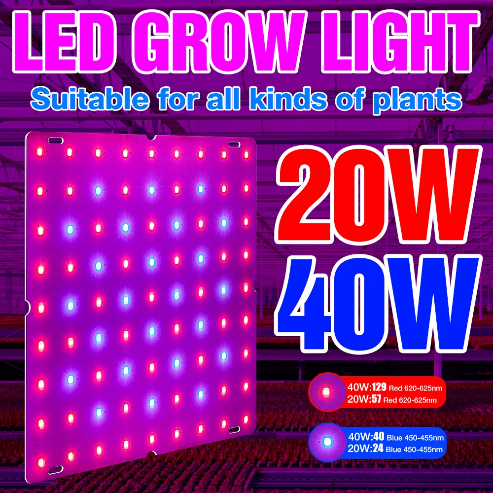 LED Growing Lamps Grow Light 20W 40W Full Spectrum Plant Lighting Fitolampy Phyto Lamp For Plant Seedling Cultivation AC85-265V