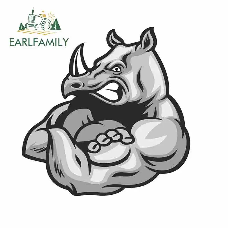 EARLFAMILY 13cm x 13cm Angry Rhino Sunscreen Vinyl JDM RV VAN 3D DIY Fine Decal Bumper Trunk Truck Graphics Car Accessories