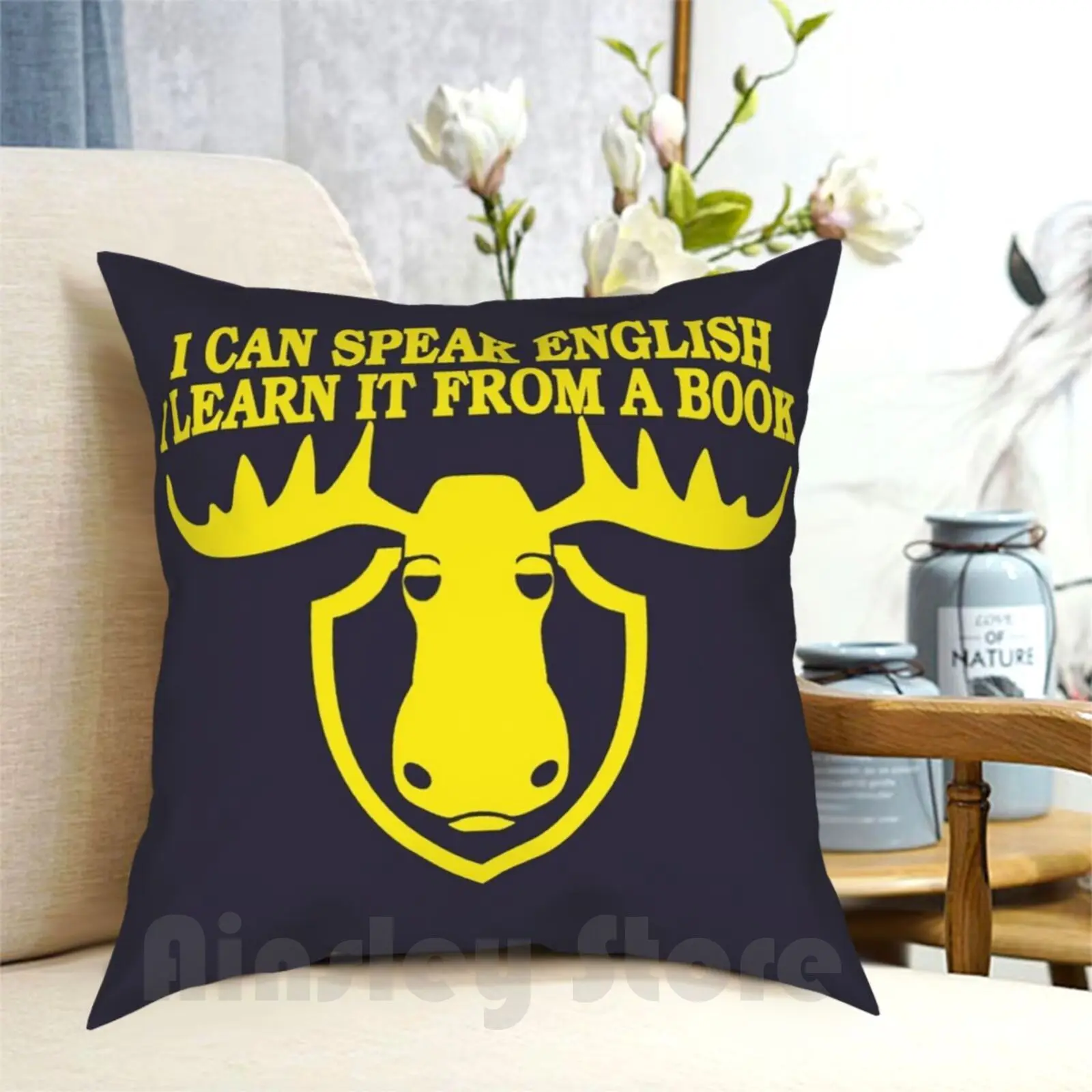 I Can Speak English , I Learn It From A Book Pillow Case Printed Home Soft DIY Pillow cover Can Speak English Learn It Book