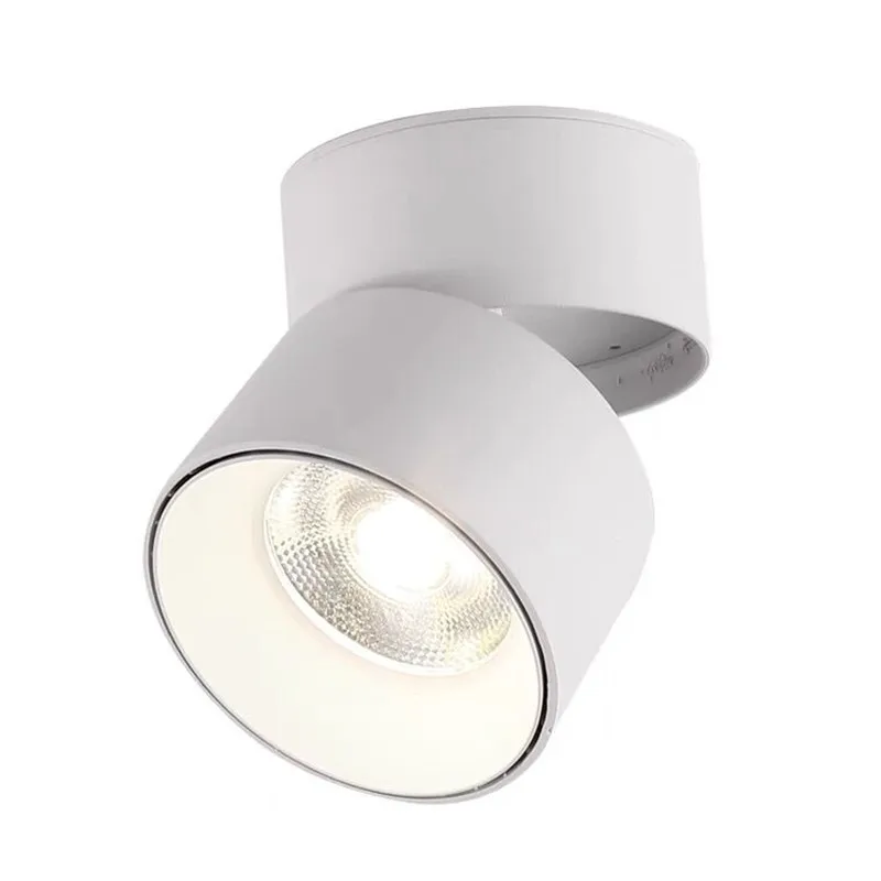 Surface mount dimmable rotating LED ceiling light, COB LED spotlight, 7W10W15W20W, with AC110V / 220V LED driver