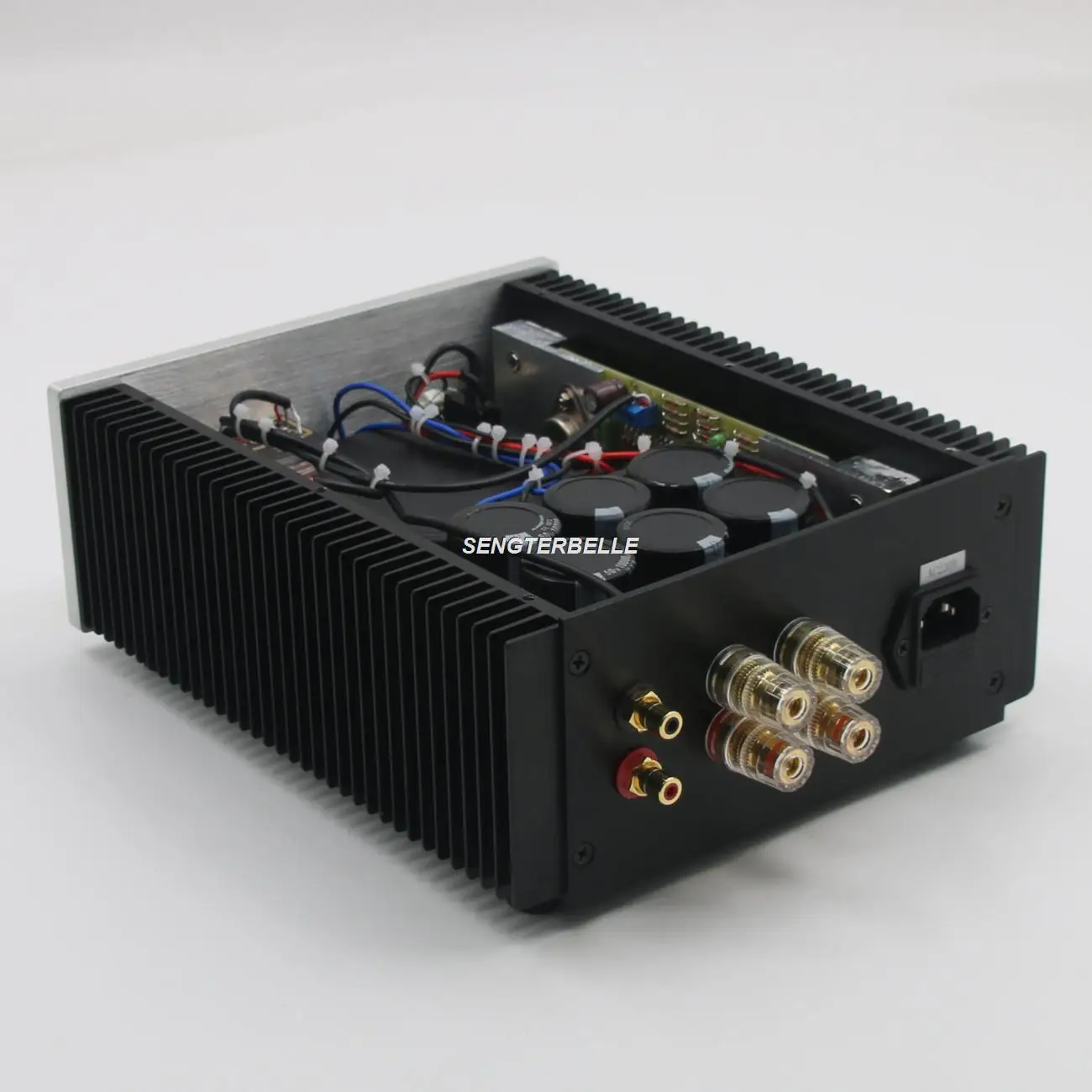 HiFi PASS AM Pure Class A Stereo Amplifier 22W Home Amp With Speaker Pro