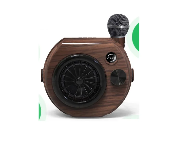 

Portable Karaoke Machine, LY300 Speaker with Big Power 22W, Making For Kids & Adults, 6000mAh Battery,TF Slot, Wood Grain