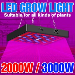 Indoor Grow Light LED 220V Bulb Plant Lamp Full Spectrum Phyto Lamp Waterproof LED Greenhouse Hydroponics Phytolamp 2000W 3000W