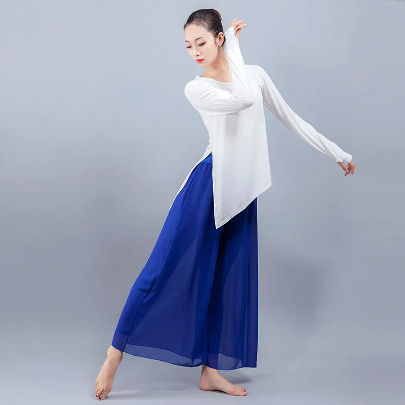 Hot Sell Classical Dance Costumes Set Women 2 Piece Modern Dance Clothes Chinese Dance Practice Suit Loose Blouse Chiffon Pants