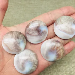 5pcs Natural Sun shell fossil Fossil  circular Specimen Crystal Love Heart Reiki