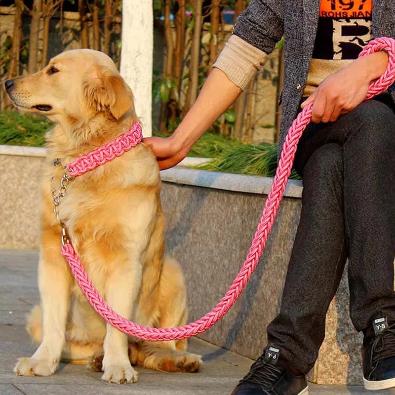 Heavy Duty Pet Dog Collar Leash Set Adjustable Obedience P Chain Collar Nylon Dog Leash Strap Lead Rope for Medium Large Dogs