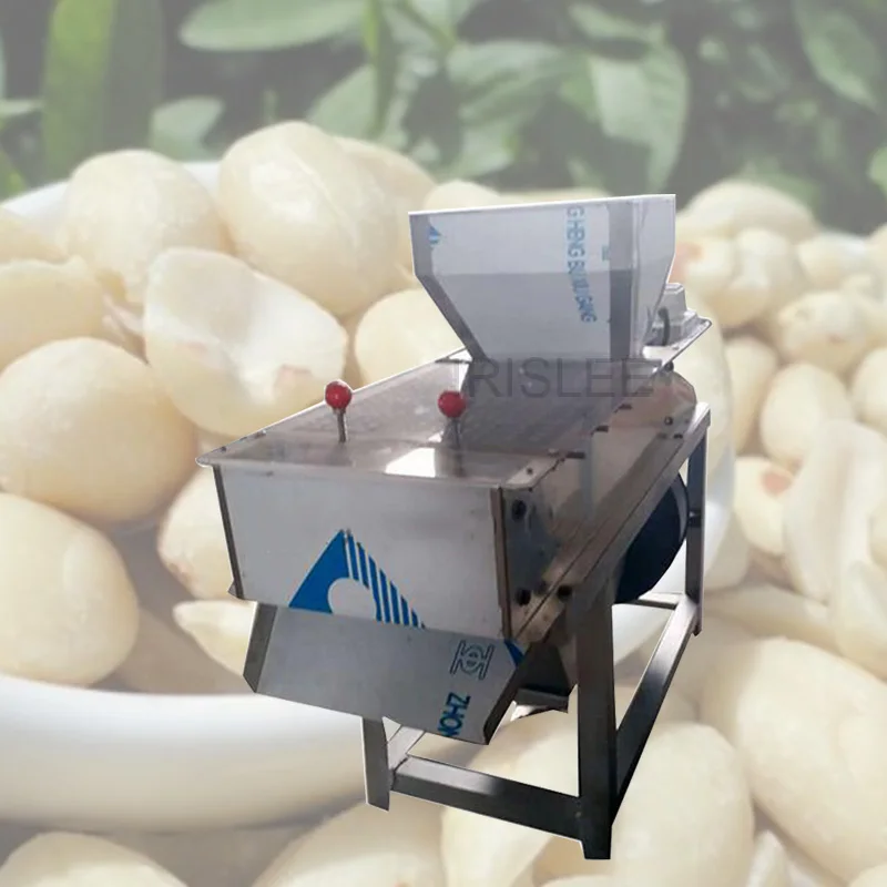 200 kg/h seco amendoim pele vermelha peeling processamento descascador máquina