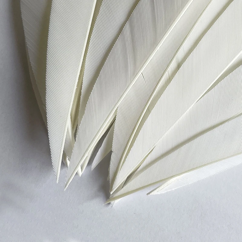 50pcs White Turkey Arrow Archery Feathers Shield Hunting Fletching Archery Accessories Crossbow Fletch Arrow Vanes