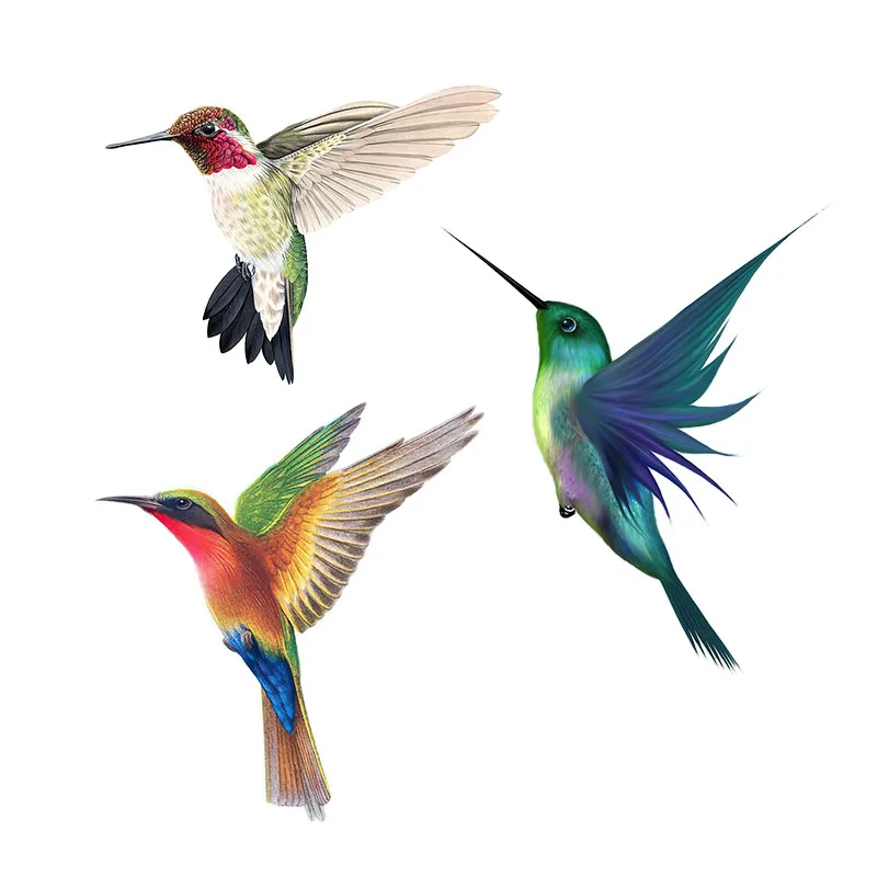 Three Ratels QCF46 Beautiful hummingbird hand painted bird sticker for home decoration Toilet sticker