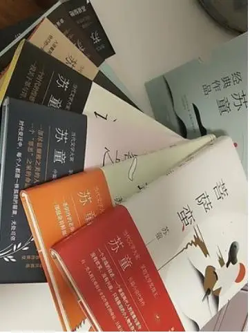 SuTong Chinese famous Novelist he is good at writing women His novels were made into a film DaHongDengLongGaoGaoGua