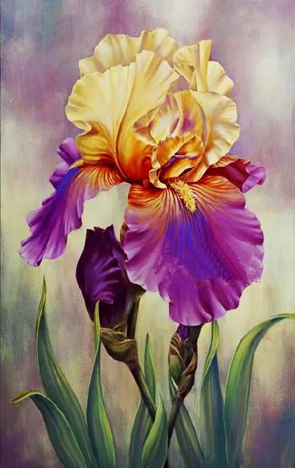 

iris flower sets Handmade Proud Iris 14CT Canvas DIY,Aida Cross-stitch kits,For Embroidery Arts Home decor