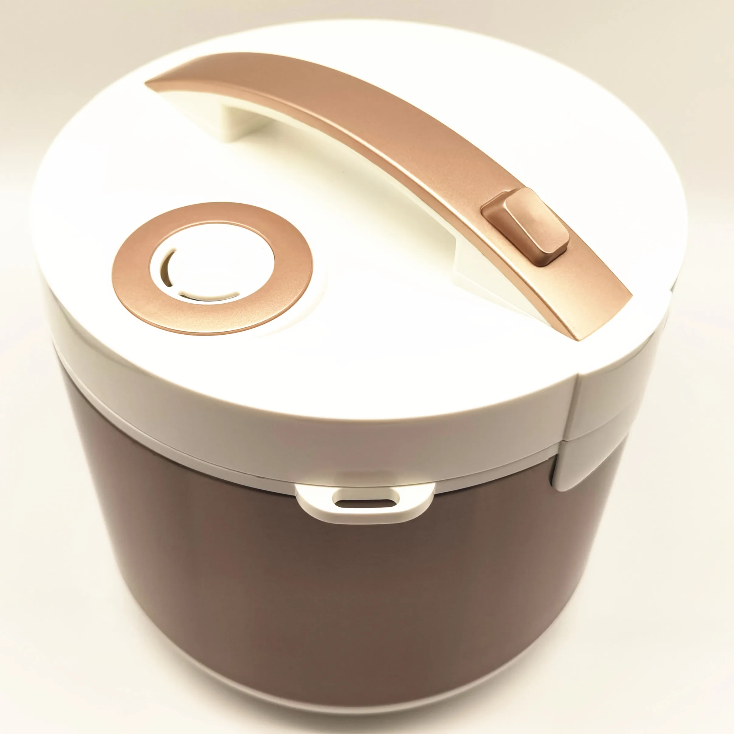 自動電気黒ニンニク発酵機,110v,220v,乾燥機能付き,家庭用発酵,eu/au/uk/