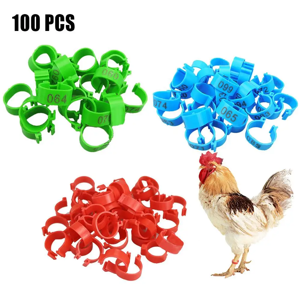 100 Pcs Chicken Leg Bands 20 Mm Chicken Poultry Rings 3 Colors Pigeon Geese Quail Bird Ring Carry Tools Feeding Number Tag