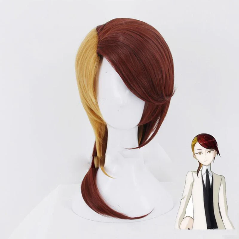 Perruque Cosplay Synthétique Anime Land of the Lustrous Rutile, Cheveux à Degré de Chaleur, Costume de ixd'Halloween, 007 ki no Kuni