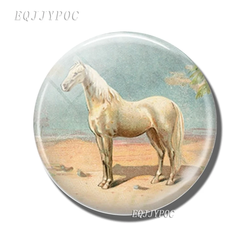 Horse Fridge Magnets 30mm Glass Dome Cabochon Lovely Animal Refrigerator Magnetic Sticker Kids Fairy Tale Home Decoration