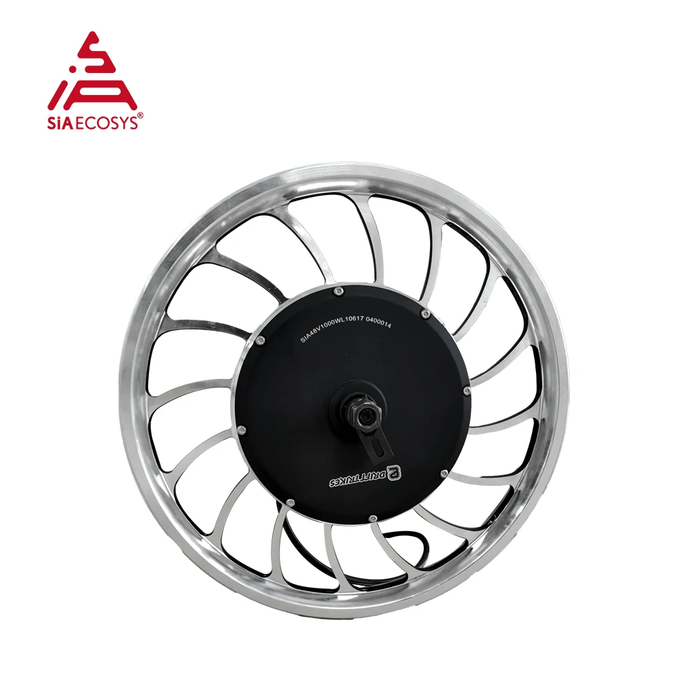 A Clearance Sale!QS Motor 20inch 1000W V1 48V 45kph Hub Motor for Electric Bicycle