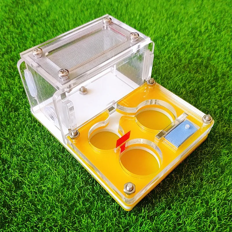 Acrylic Ant Breeding Nest on Mini Ant Farm Insect Terrarium Pet Accessories