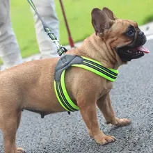 Reflective Pet Harness and Leash Set #5