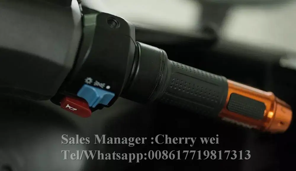 EEC COC دراجة ثلاثية للتنقل الدراجة/ثلاثة مقاعد عربة الركاب/3 عجلات E-دراجة ثلاثية العجلات مع المقصورة تاكسي للبالغين