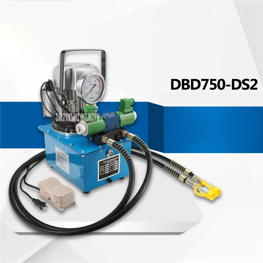 DBD750-DS2 Electric Hydraulic Pump With Solenoid Valve Hydraulic Press Double Circuit Oil Press High Low Pressure Plunger Pump