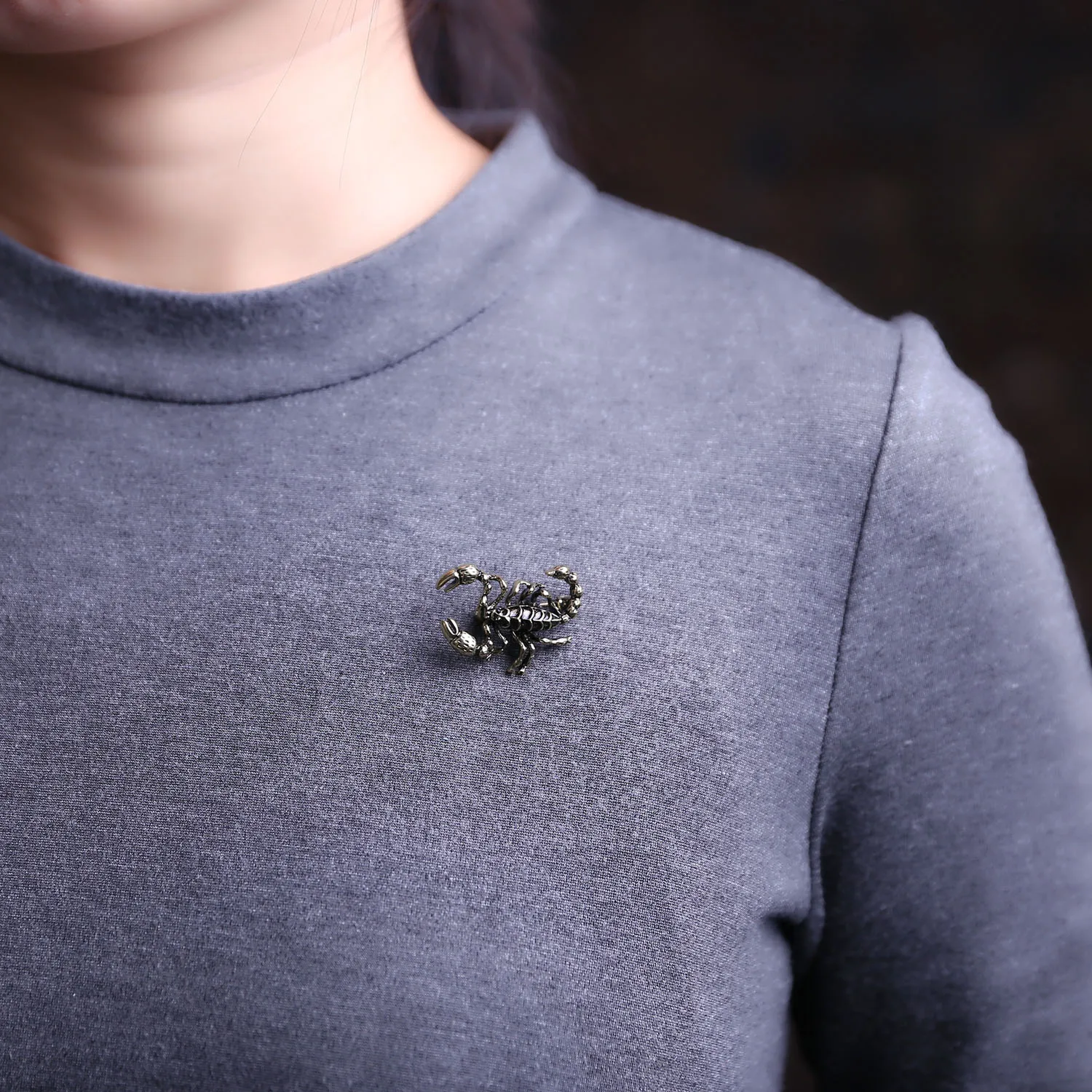 Rinhoo Emaille Skorpion Broschen Für Frauen Tier Mantel Pins Mode Kristall Eidechse Marienkäfer Käfer Spinne Raupe Insekt Abzeichen – Detail 31