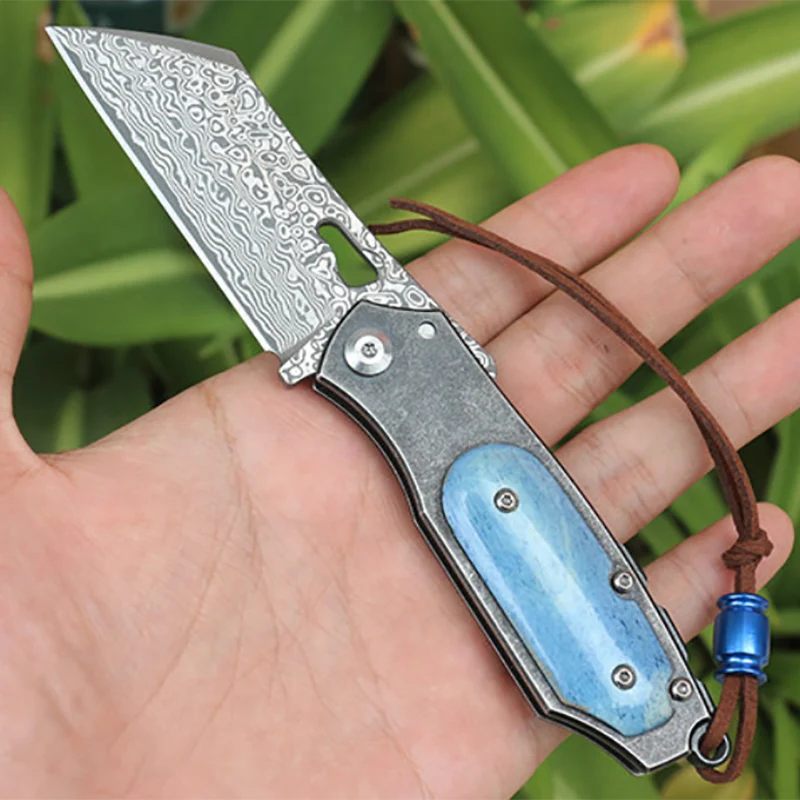 Kitchen tools Folding knife High hardness Damascus steel blade bone handle mini  outdoor camping and fishing DEC tool