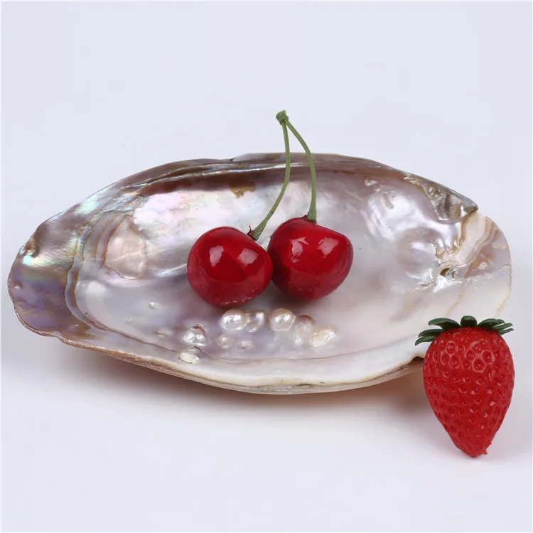 Wholesale  River Natural  White 12*17cm  Lip Mother Of Pearl Shell Artwork Pieces