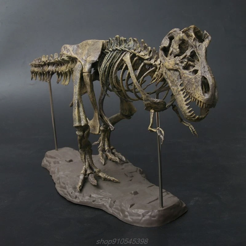 

T Rex Tyrannosaurus Rex Skeleton Dinosaur Toy Animal Model Collector Super Decoration A09 21 Dropshipping