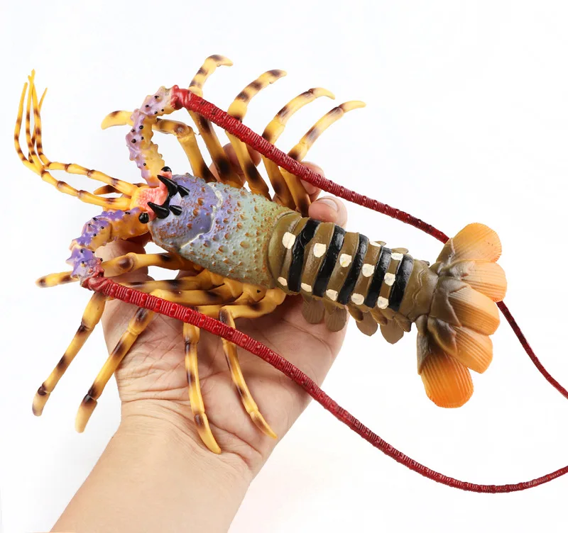 new real life Australian Lobster model plastic simulation lobster gift about 39x21.5x6.5cm xf2780