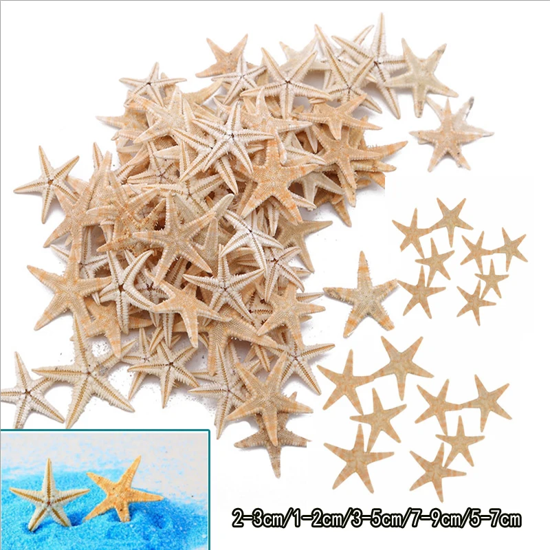 Mini Natural Starfish Sea Stars, DIY Craft Decoração, Beach Cottage, Decoração do casamento, Artesanato, 5 Pcs, 25 Pcs, 50 Pcs, 100 Pcs