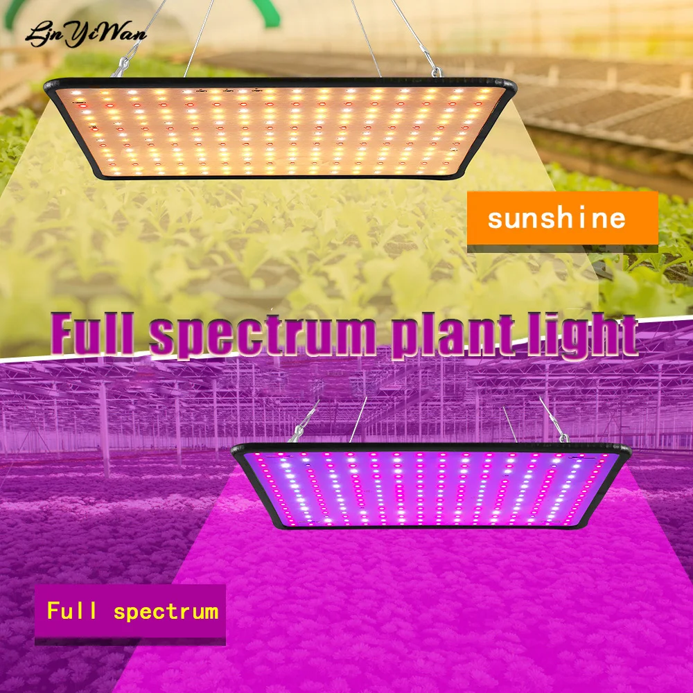 LED 5000W LED plant growth light LED growth light full spectrum vegetable flowering light Indoor plant growth light Garden green