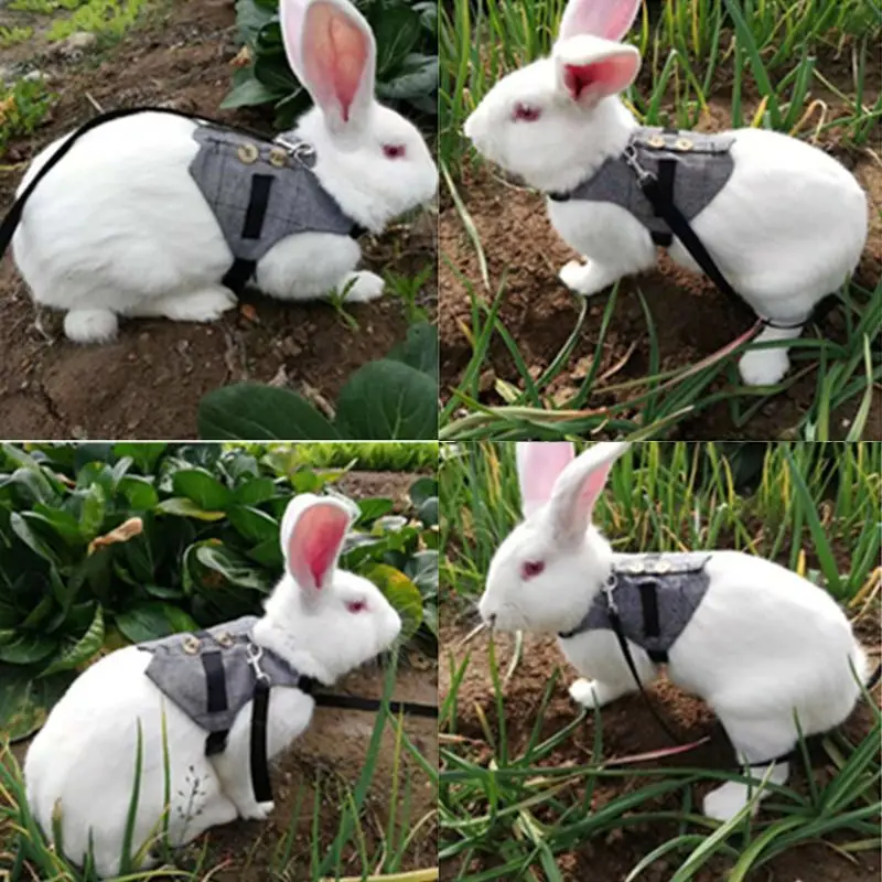 Multipurpose Hamster Rabbit Harness Vest Small Pet Leash Chinchillas Guinea Pig Vest Clothes Small Animal Supplies