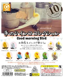 Good Morning Bird Series Gashapon Toys Budgerigar Cockatiel Lovebird Action Figure Model Ornaments Toys