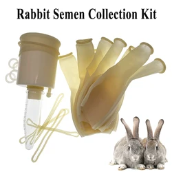 1SET Rabbit Semen Collection Kit Sperm Collect Artificial Insemination Tools Buck Glass Tube Hare Bunny Farming Tools Supplies