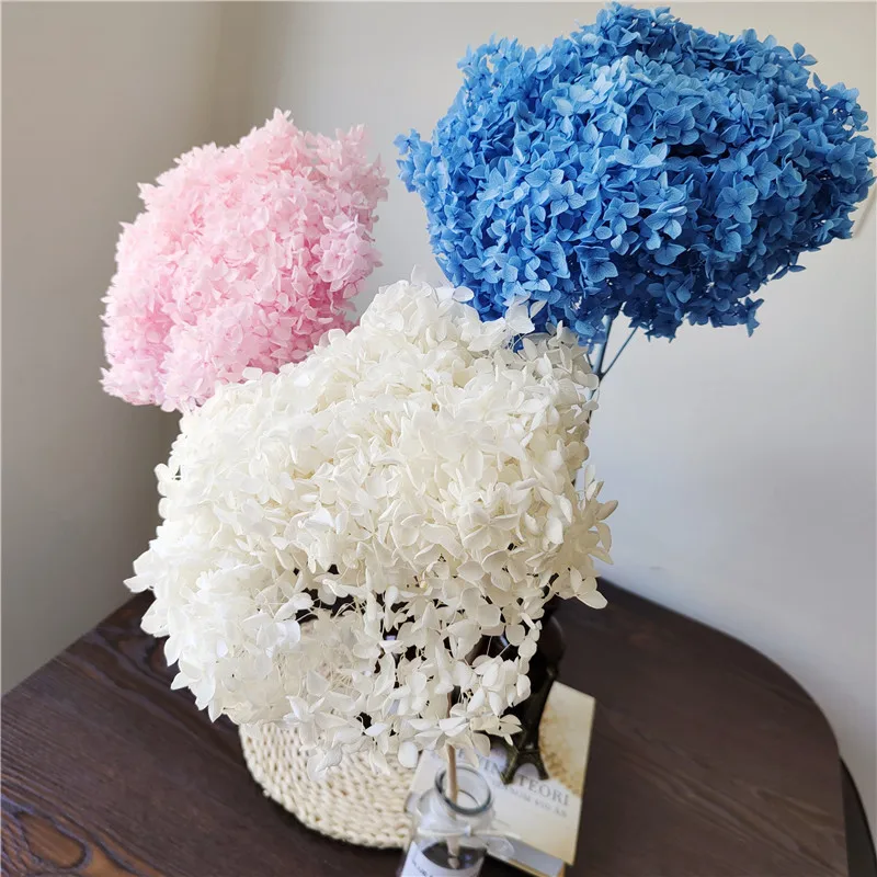 

20cmHead Natural Preserved Anna Hydrangea With Stem Eternal Display Flower Bunch For Decoration Mariage Accessories Flores Secas