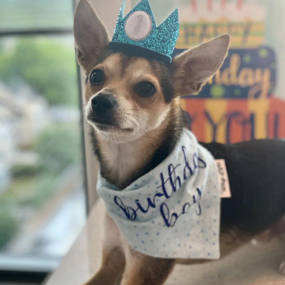 

Custom Birthday Dog Bandana, Gift for Boy Dog, Dog Mom Gift, Blue Dog Scarf, Flannel Bandana for Dogs Doggies, Dog Lover Gift,