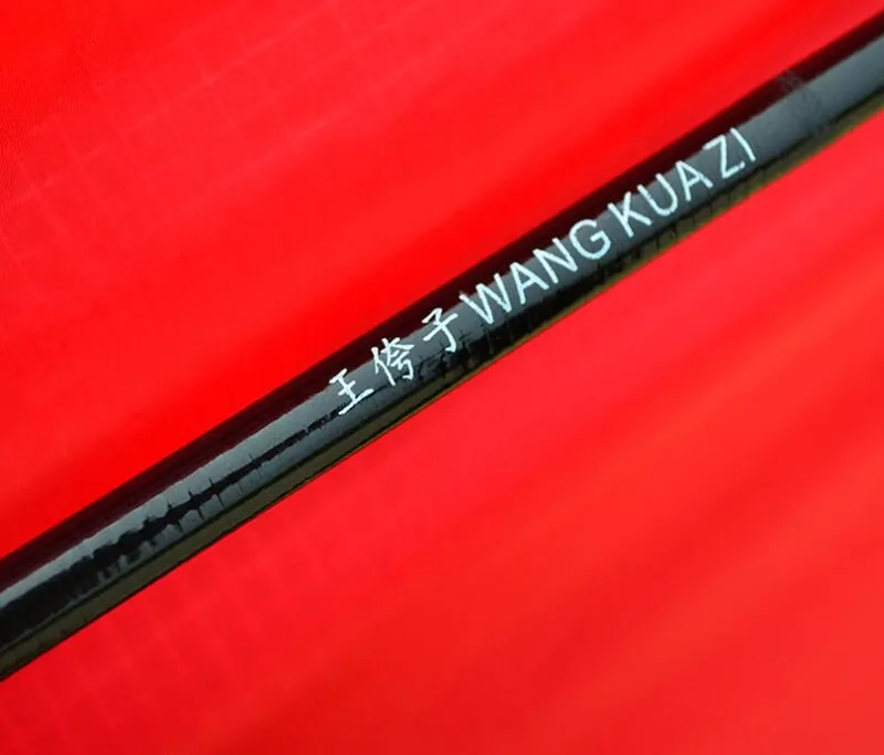 Cometa Delta grande para diversión al aire libre con mango de 100m, línea de nailon Ripstops, cometa triangular grande, brisa, viento, puede volar, deporte al aire libre para adultos