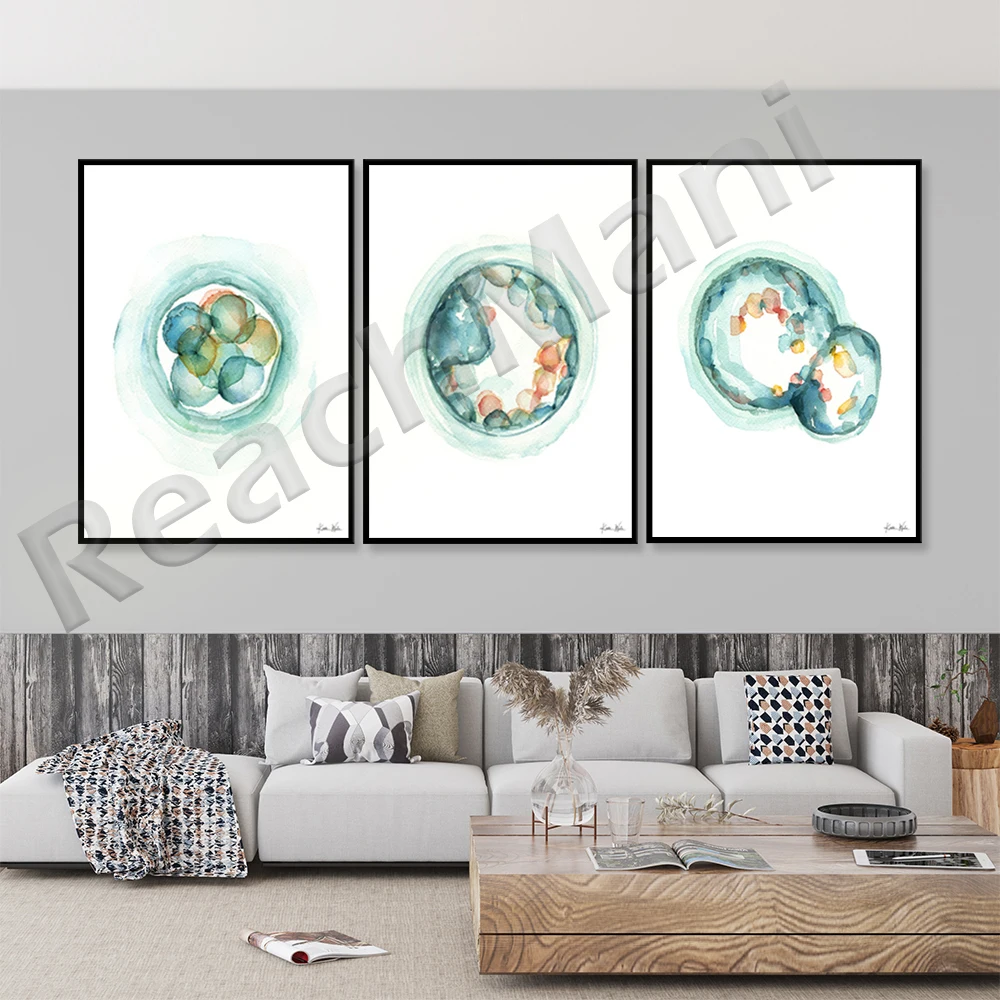 Embryo Watercolor Print - Fertility and IVF  Art Prints - OBGYN Doctor Office Art - Anatomy Art