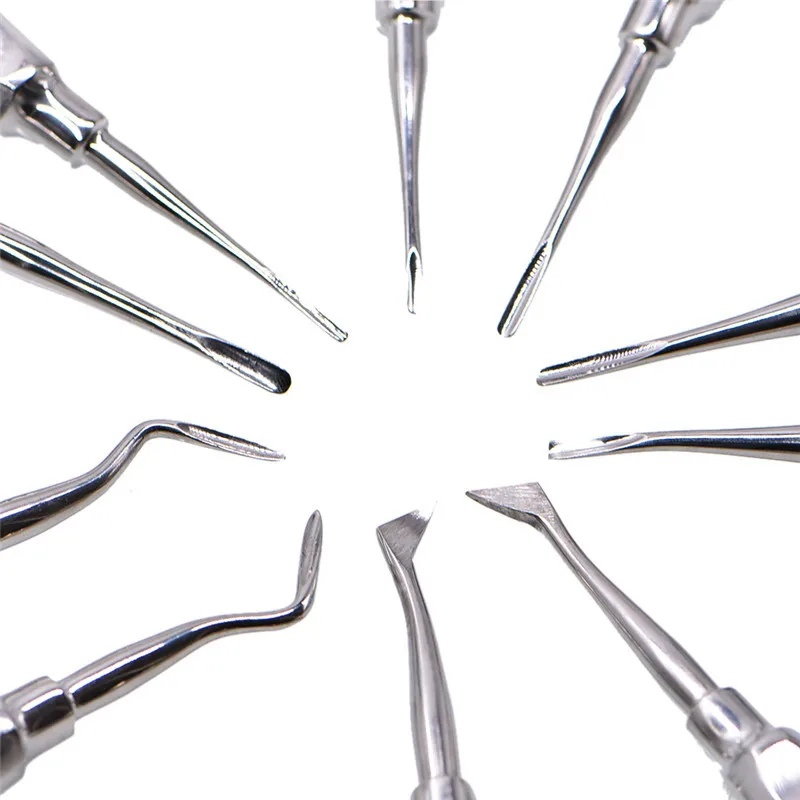 10pcs/box Dental Tooth Extracting Forcep Set Elevator Teeth Extraction Curved Root Lift Elevator Pliers Surgical Tool Instrument