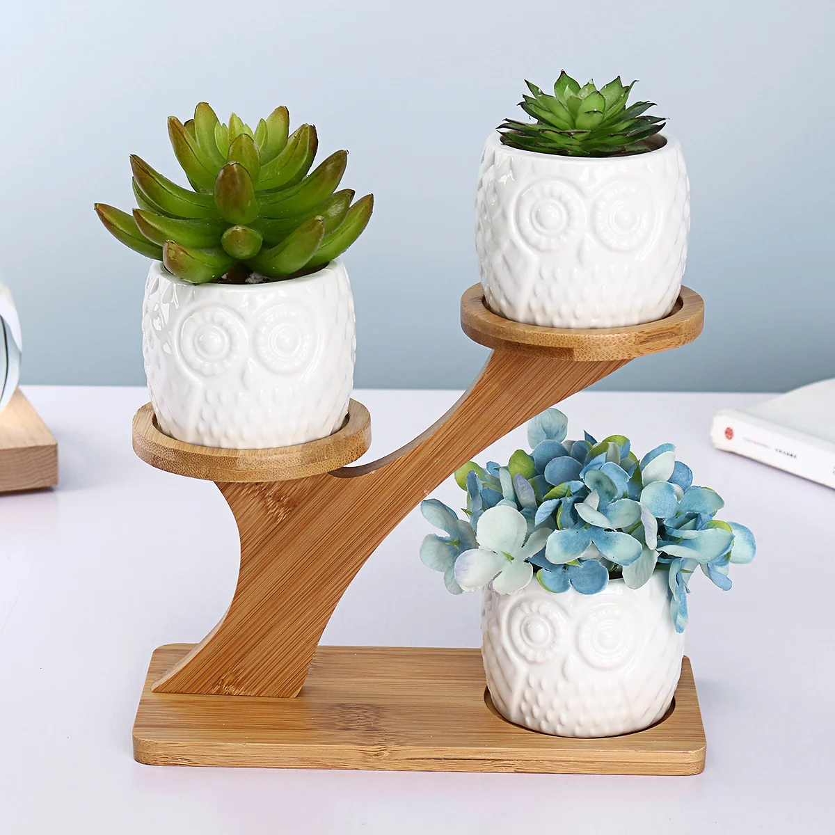 

3 Pack Owl Succulent Pots Ceramic Garden Flower Planter Holder Bamboo Stand Sets 7.87"X6.5"