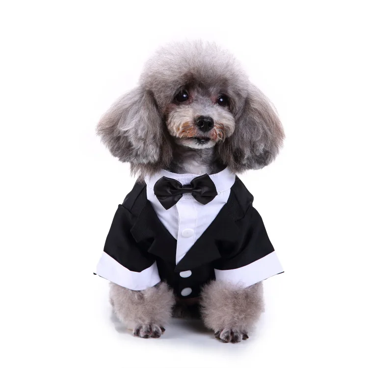 

Pets Blue Wedding Jackets Suit for Dogs with Blue Bow Tie Puppy Cat Formal Clothes Shirt Tuxedo Blue Large