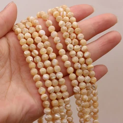 Natural Shell Beads Yellow White Round Shape Loose Exquisite Shell Beads For Jewelry Making DIY Bracelet Necklace Accessories